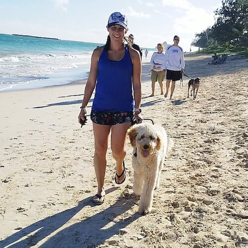 Hawaii Dog Training Services Oahu Dog Training And Group Classes