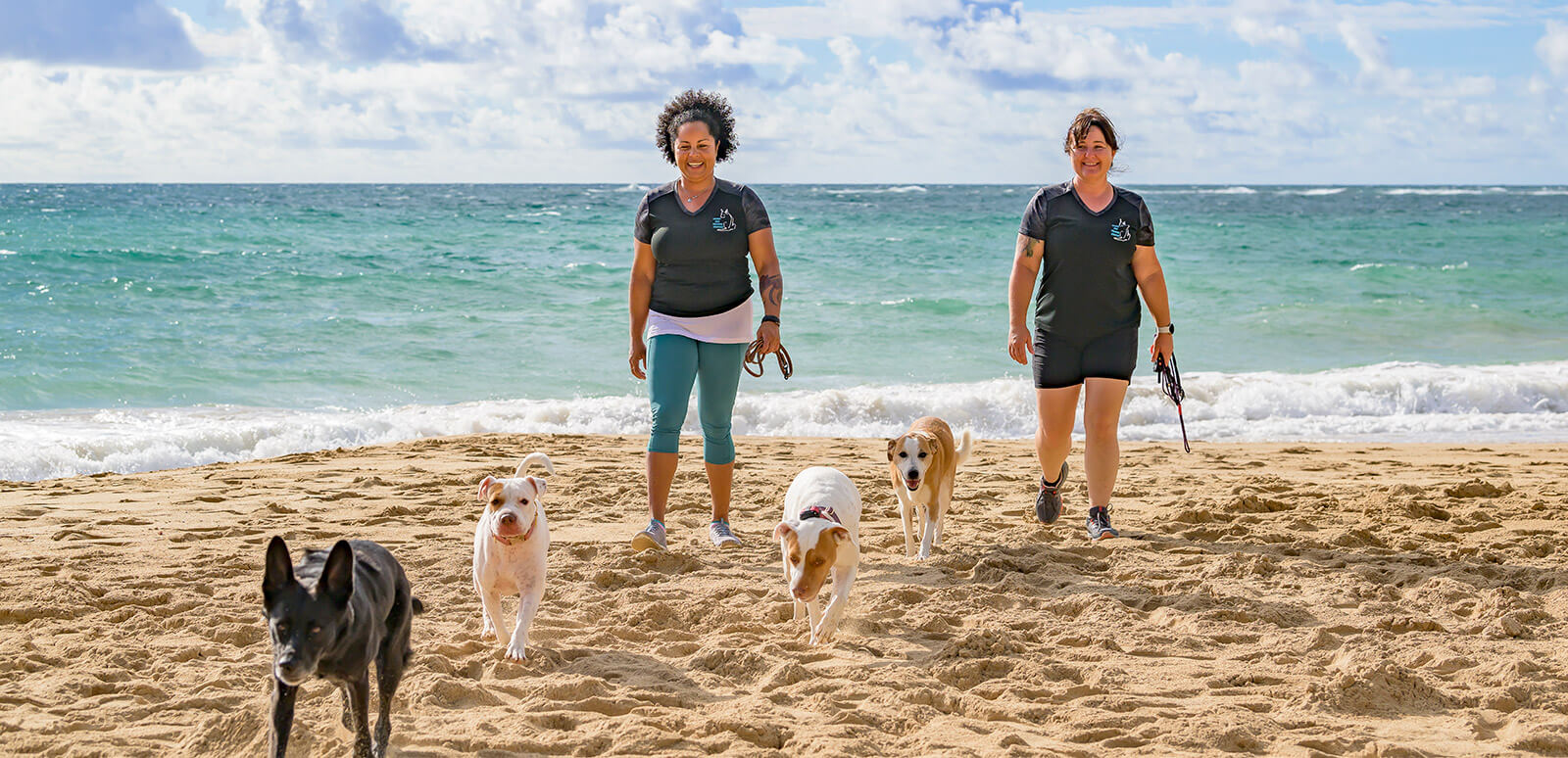 Home Hawaii Dog Training Services