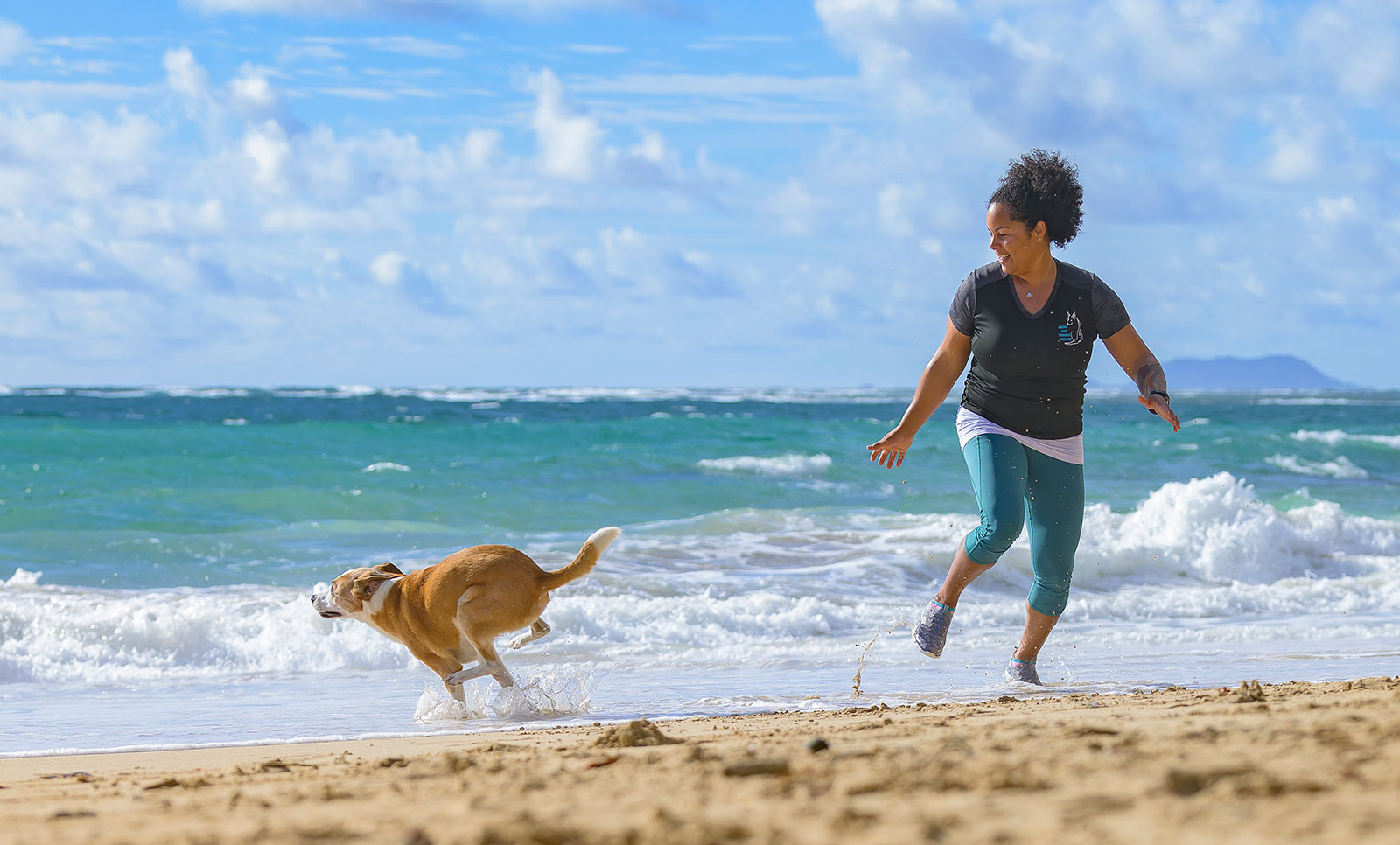 about hawaii dog training services deanna nieves