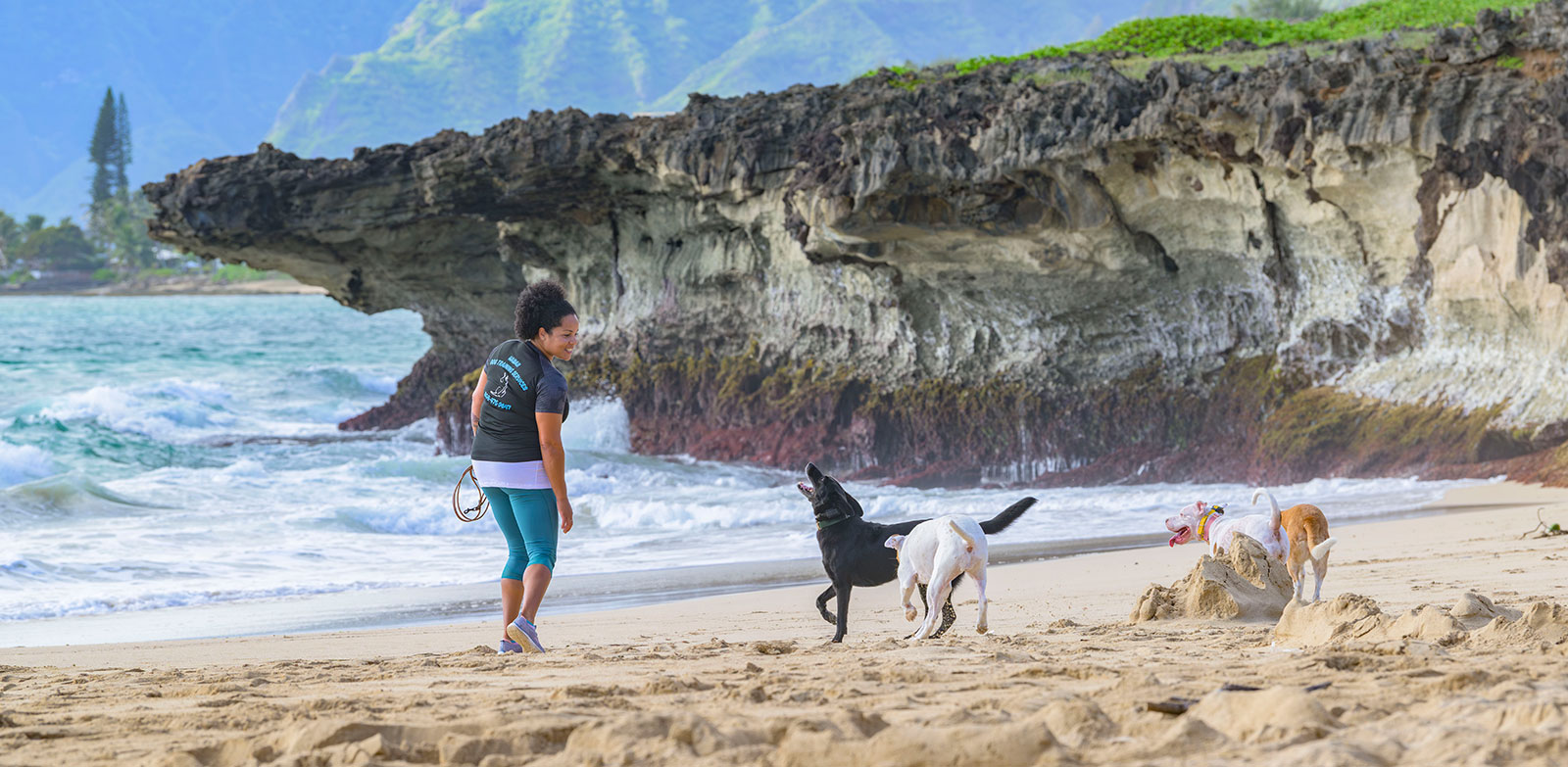 oahu dog boarding